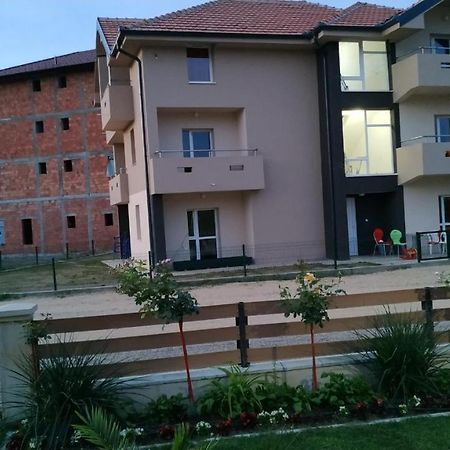 Srebrna Nit Apartment Veliko Gradiste Luaran gambar